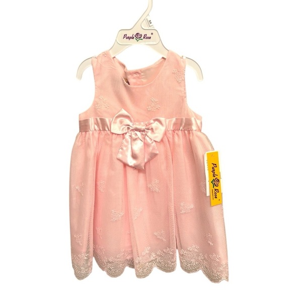 NWT 24mo Embroidered pink Purple Rose dress. Dsct w 2+ bundle. - Picture 2 of 10